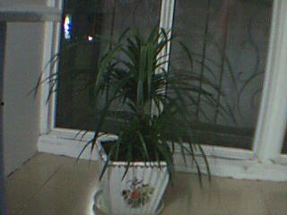 桂林人论坛爆料新闻,惊现神秘事件，真相令人震惊！